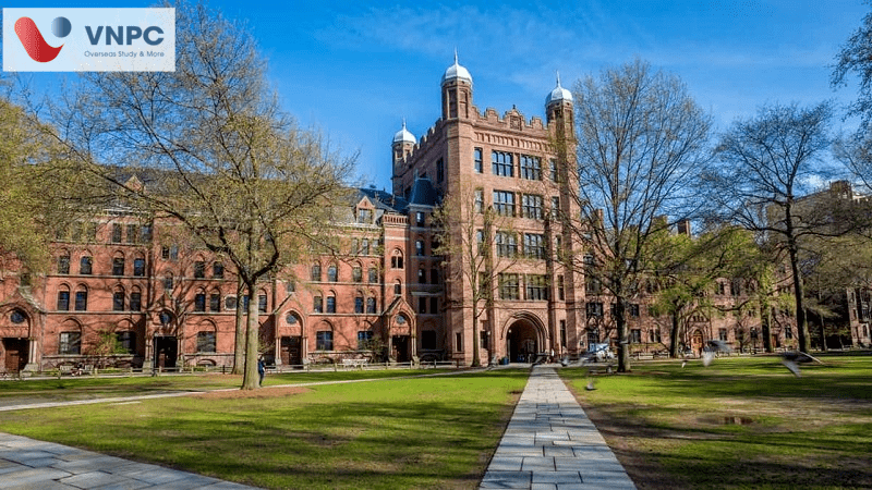 Yale University